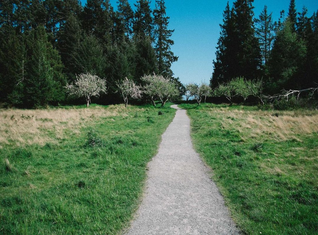 For the Budget-Conscious: Incredible Islands That Won't Break the Bank