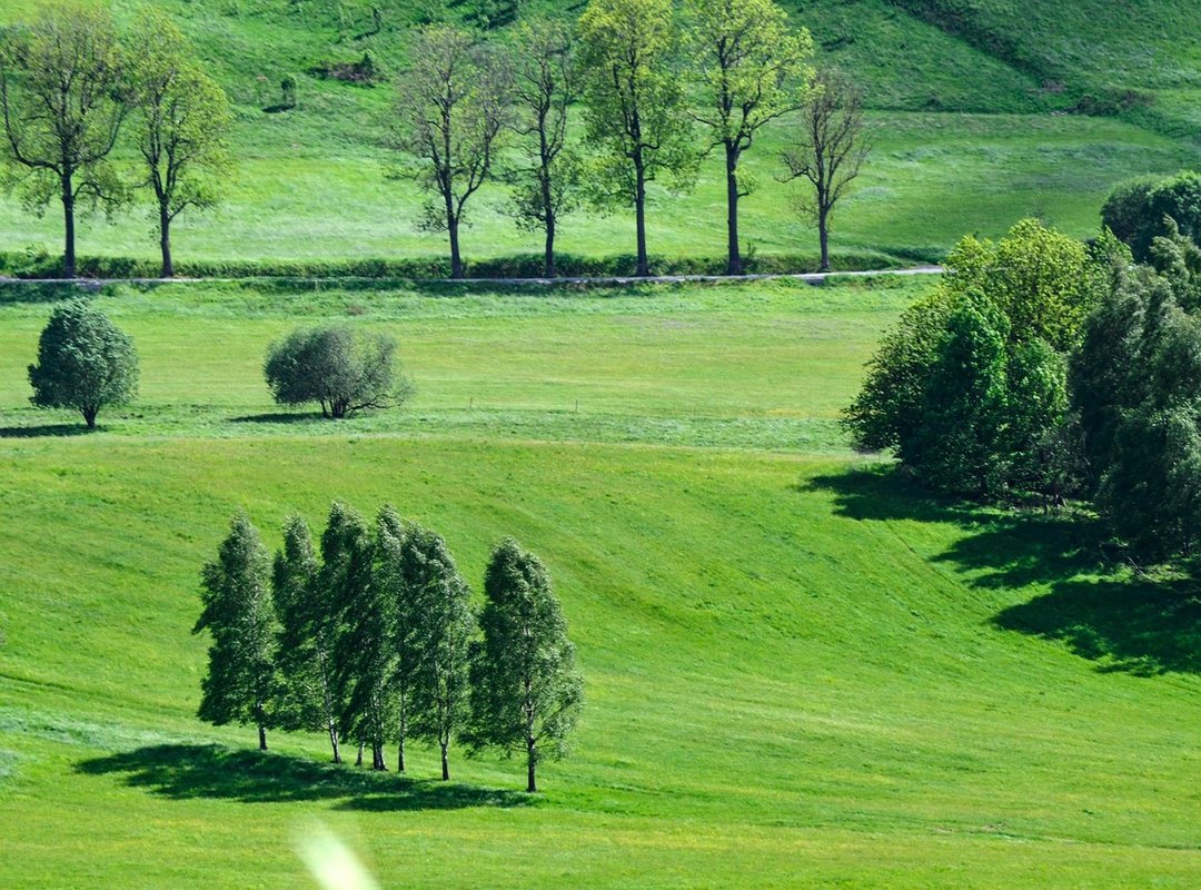 Where to Download High-Resolution 'Gale Gale' Backgrounds