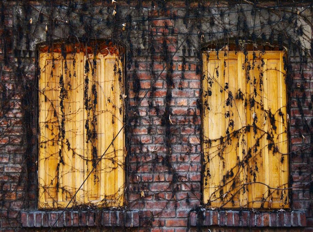 The Return to the Stage: Music and Life After Cancer