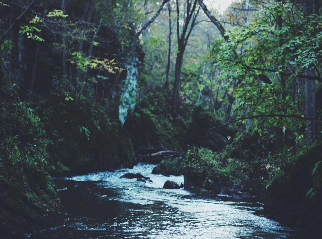 Top Pick for Durability: The [Brand B] Globetrotter Bag