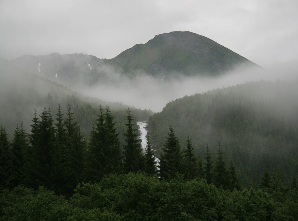 mystical mountain trekking