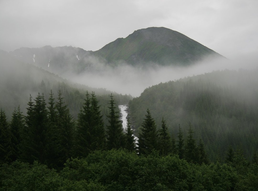 mystical mountain trekking