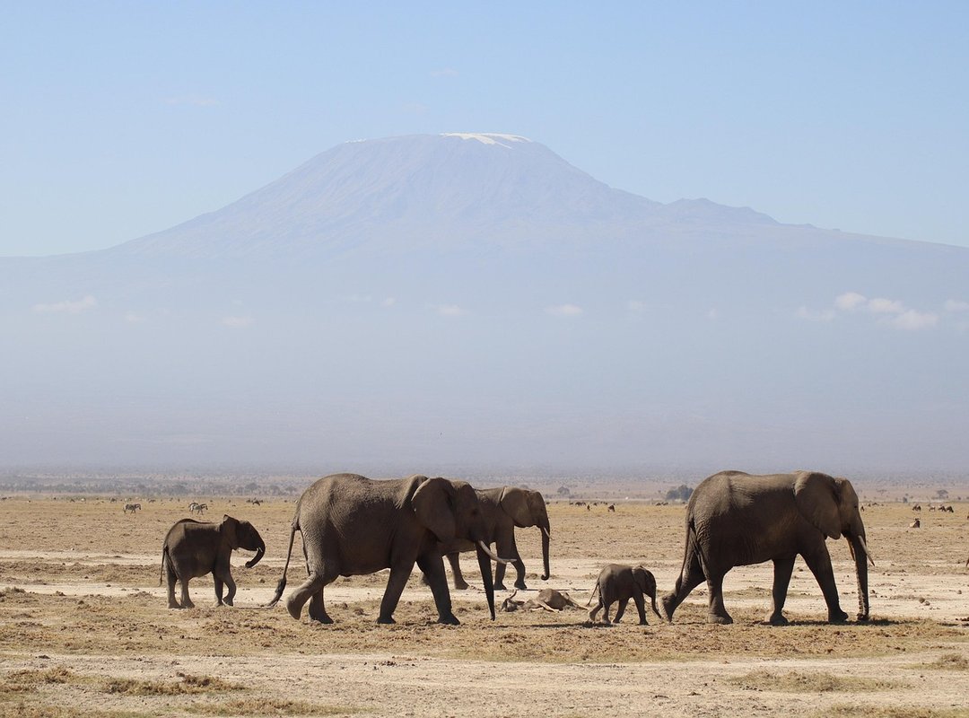 Which Is the Tallest Mountain in Africa Jexptravel