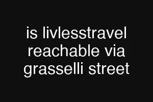 is livlesstravel reachable via grasselli street
